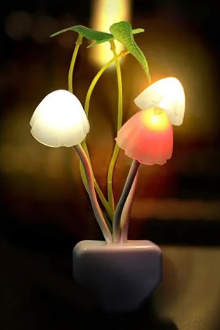LED SMALL NIGHT LIGHT